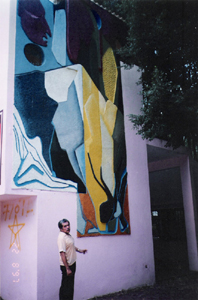 Murales de Leticia Ocharán